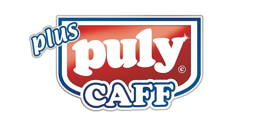 8295pully-logo